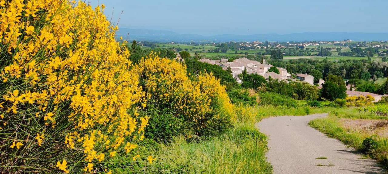 Maison De Village En Provence Avec Terrasse De 33M2 Saint-Roman-de-Malegarde Eksteriør billede
